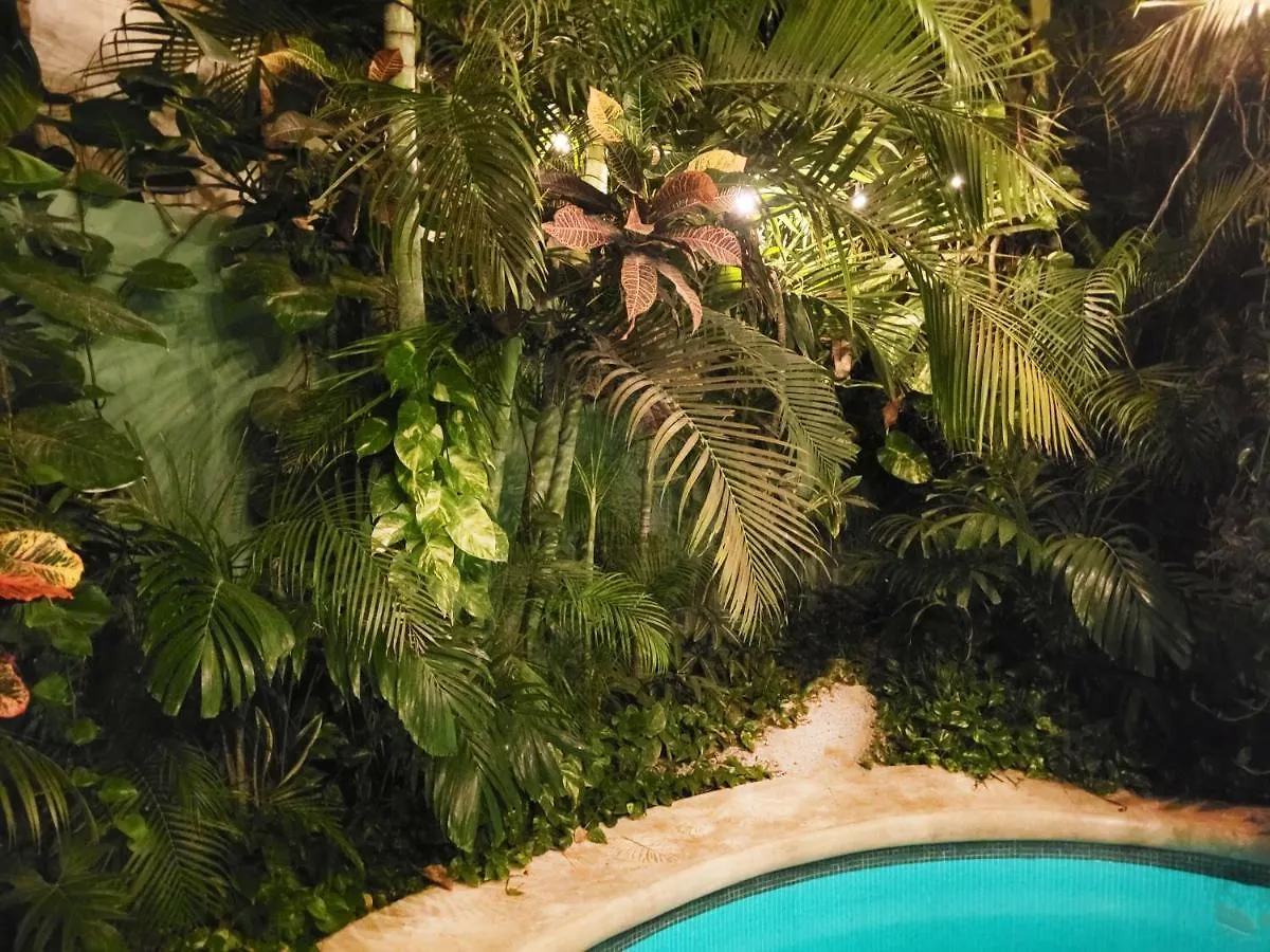 The Secret Garden Tulum Lejlighed Mexico