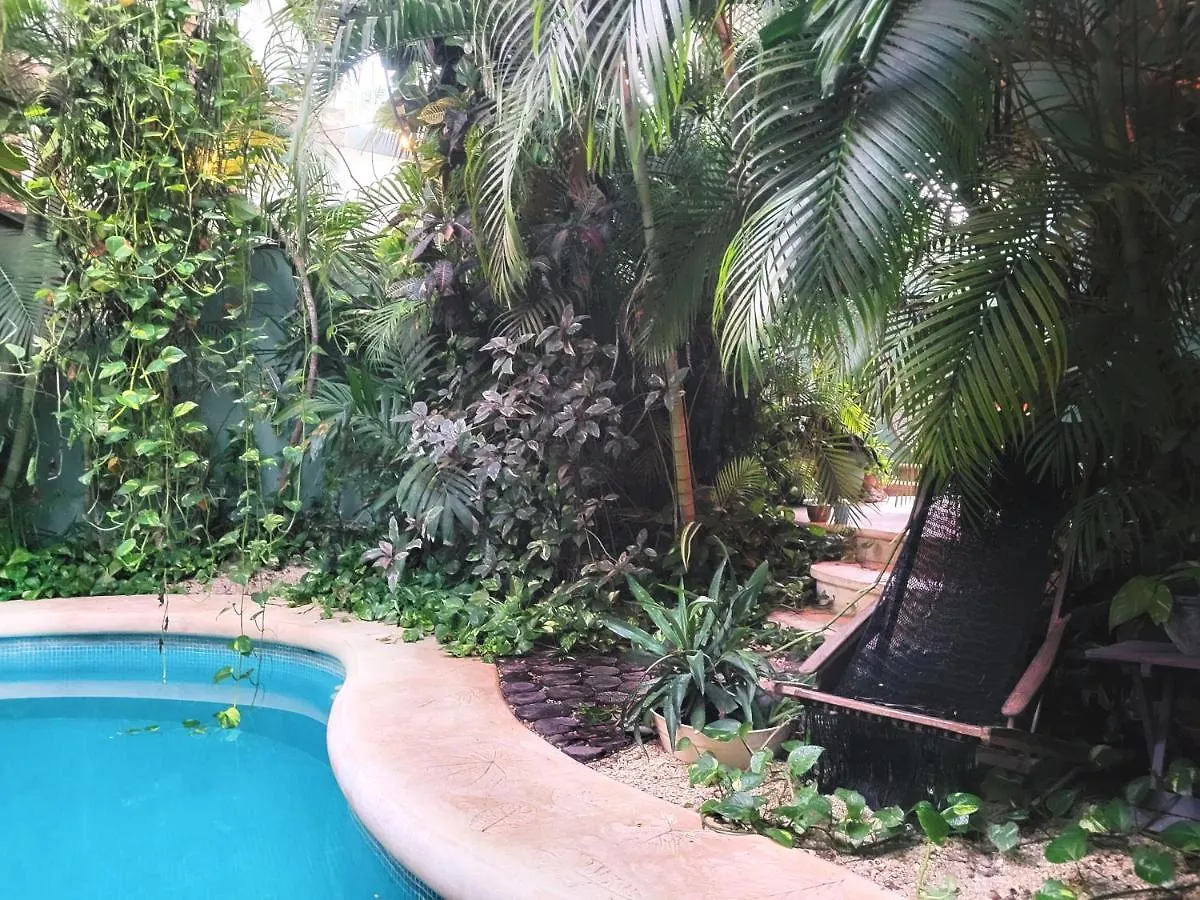 The Secret Garden Tulum Lejlighed Mexico