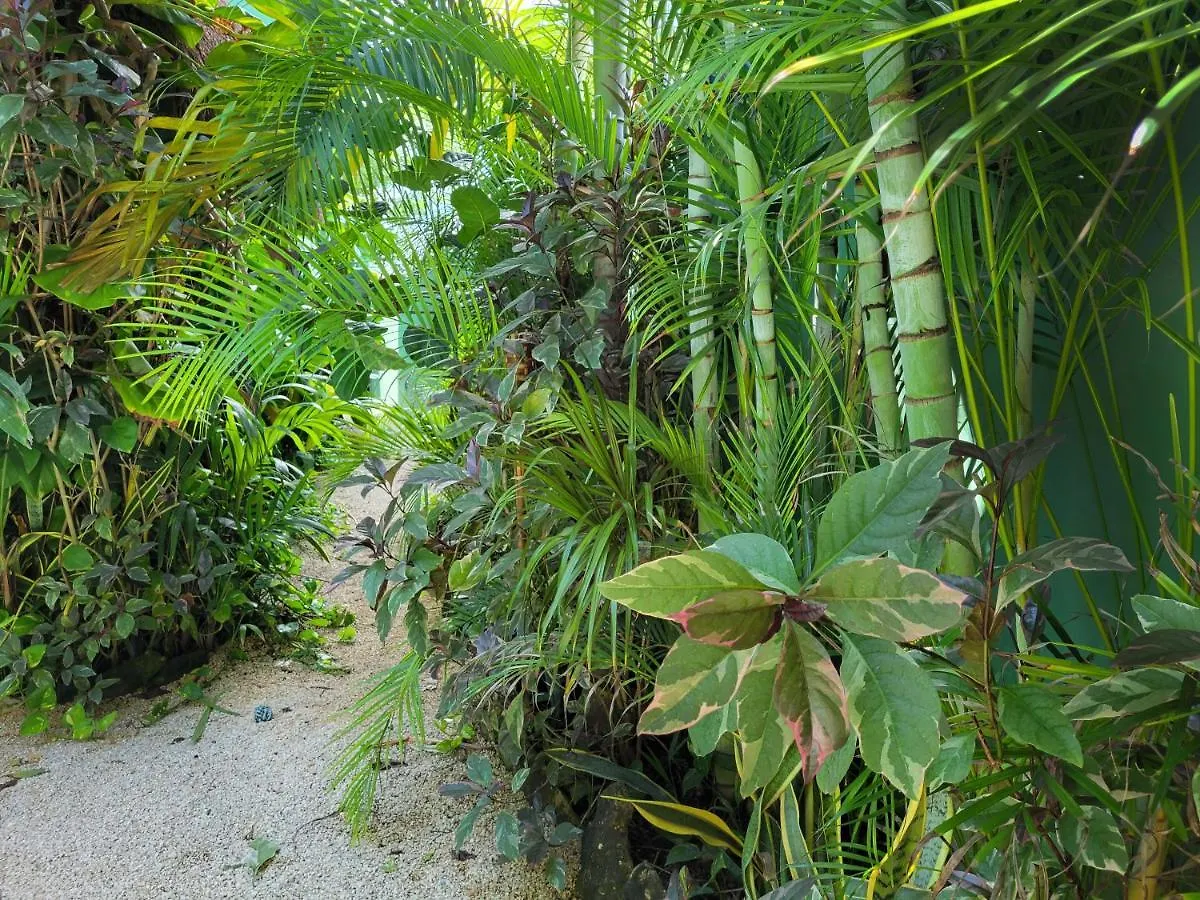 The Secret Garden Tulum Lejlighed 0*,