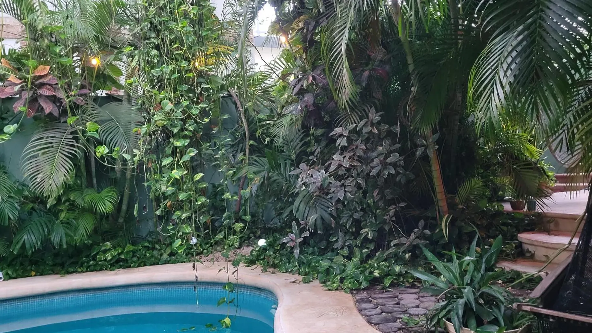 The Secret Garden Tulum Lejlighed Mexico