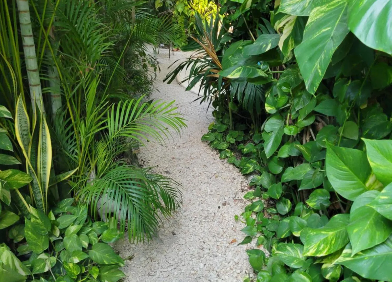 The Secret Garden Tulum Lejlighed 0*,  Mexico