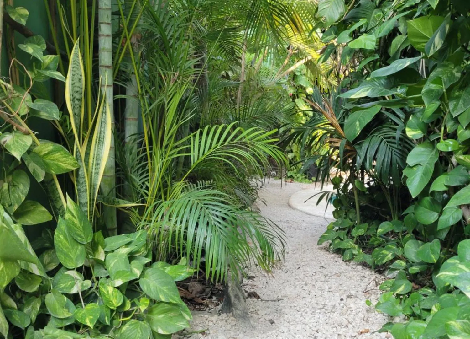 The Secret Garden Tulum Lejlighed Mexico
