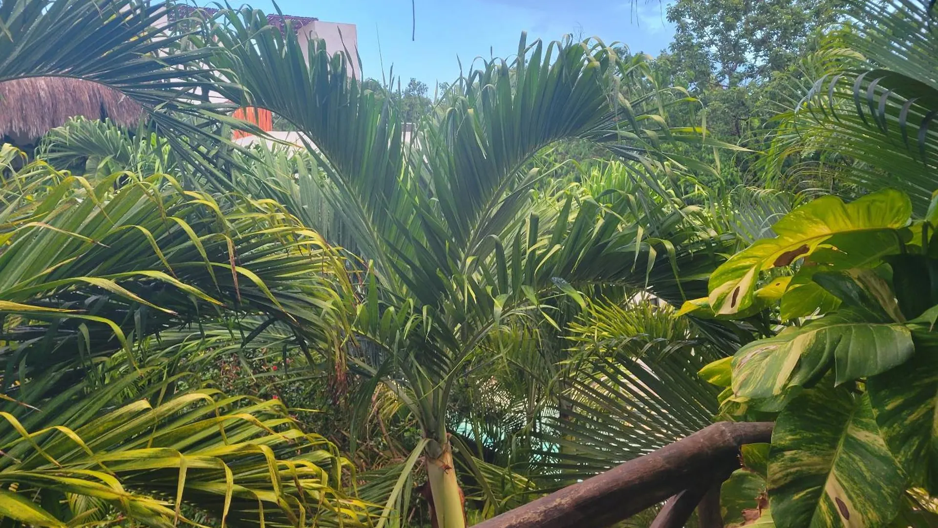 The Secret Garden Tulum Lejlighed